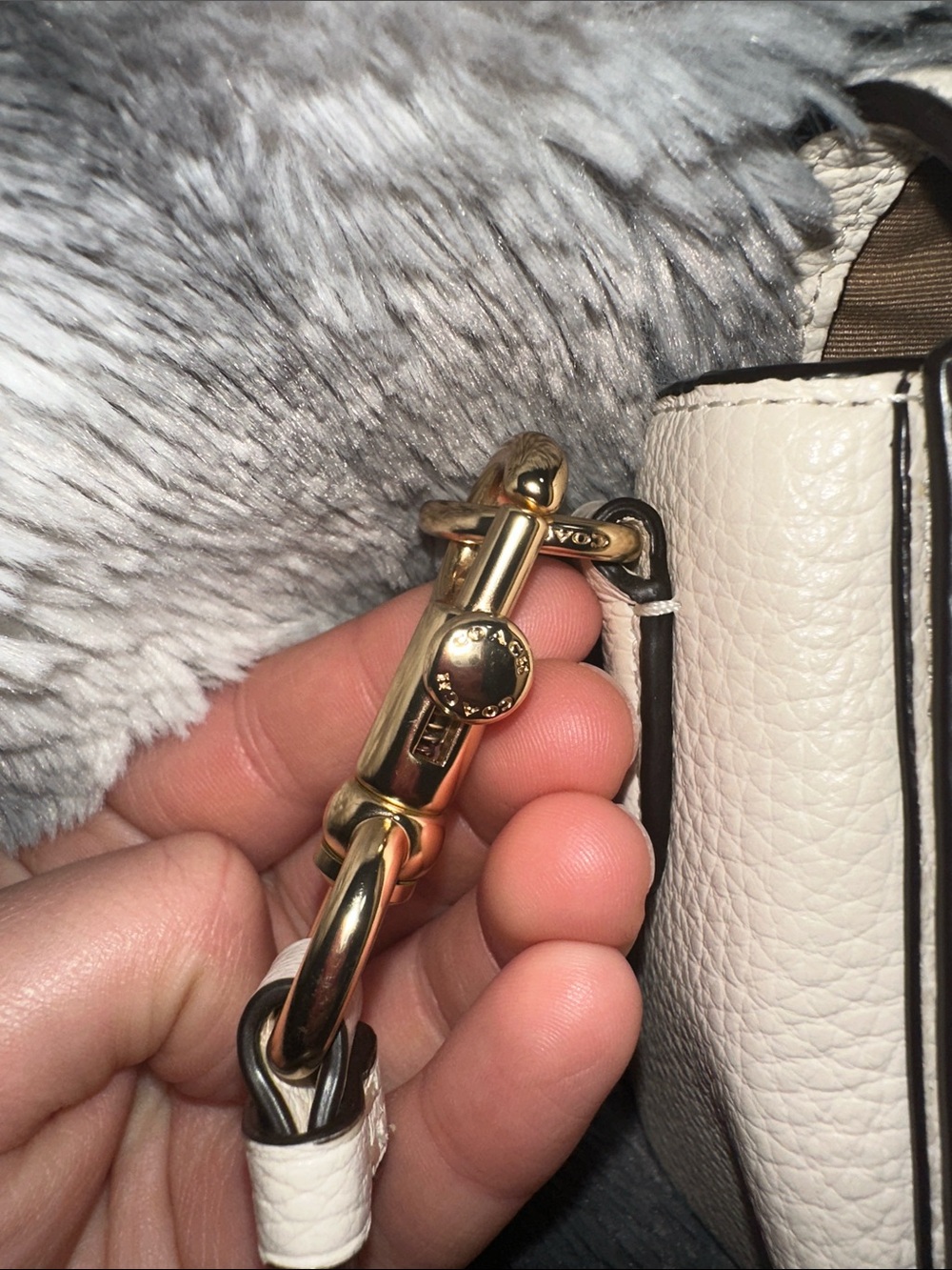 Coach Pebbled Leather Crossbody in Cream with Gold Hardware - Picture 3 of 7